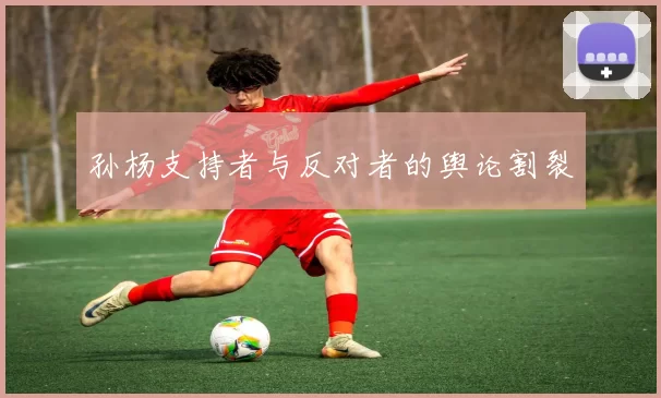 孙杨支持者与反对者的舆论割裂